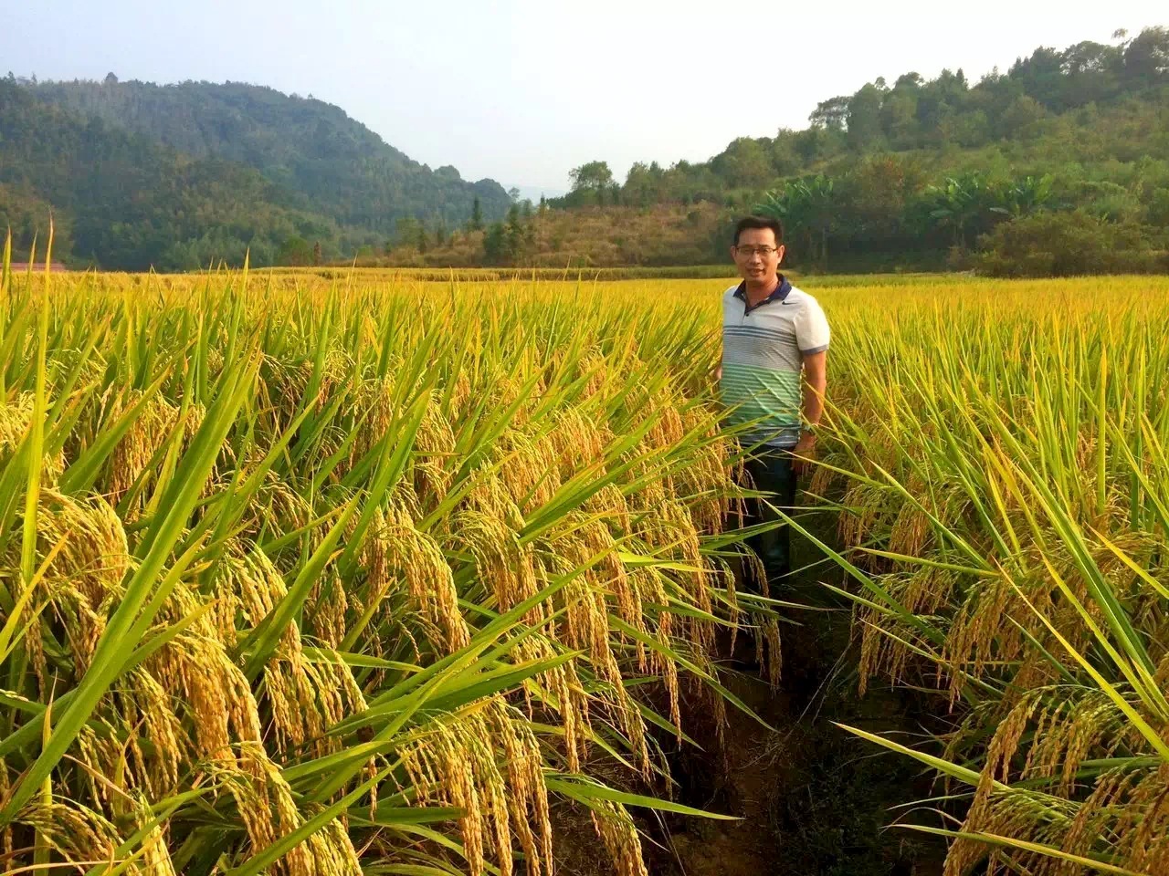 長春金控集團(tuán)黨支部舉行接收新黨員和主題黨課活動(dòng)